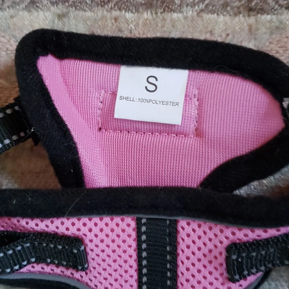 Small cat harness with matching leash NWOT